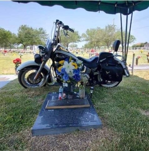 Meet your Posher, Rosie - Picture 1 of 1